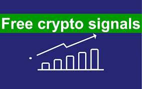 1733470794130584.jpg 59.jpg