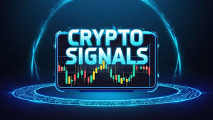 1733470944203964.jpg 59.jpg