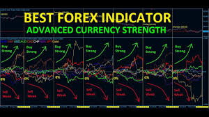 1733583997173458.jpg 8.jpg