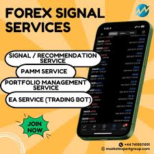 1733648538655666.jpg 10.jpg