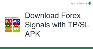 1733648558153169.jpg 9.jpg