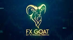 1733721389354898.jpg 10.jpg