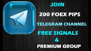 1733828715587284.jpg 13.jpg