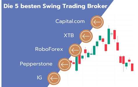 1735135646191460.jpg 8.jpg