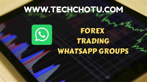 1739256032778388.jpg 2.jpg