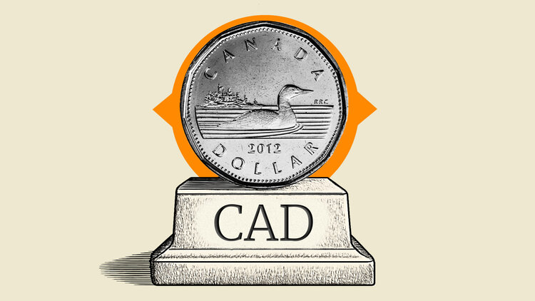 coin-frontal-pedestal-cad_Large.jpg